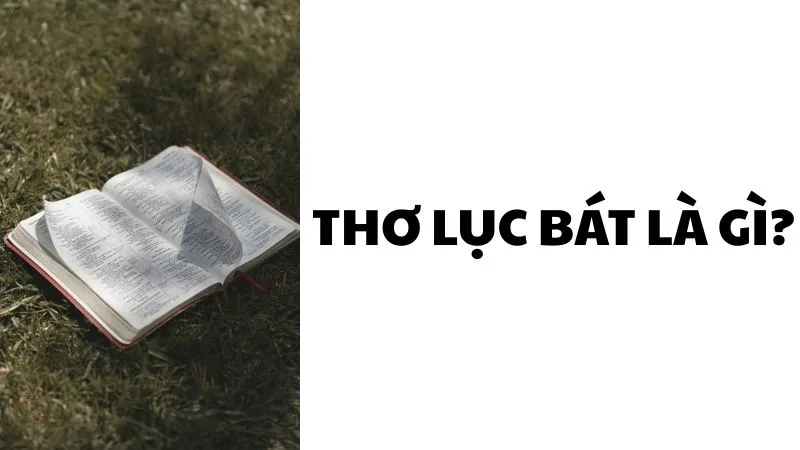 Thơ lục bát được tạo nên từ từng cặp câu sáu tiếng và tám tiếng, mang âm hưởng mềm mại của tiếng Việt.