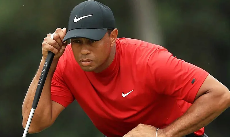 Tiger Woods đưa môn golf tiếp cận hàng triệu khán giả trẻ thuộc mọi tầng lớp.