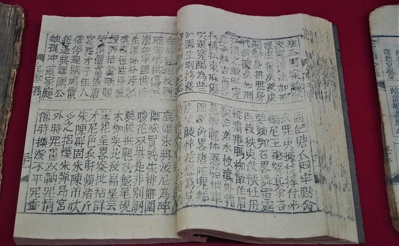 nguyen-du-la-ai
