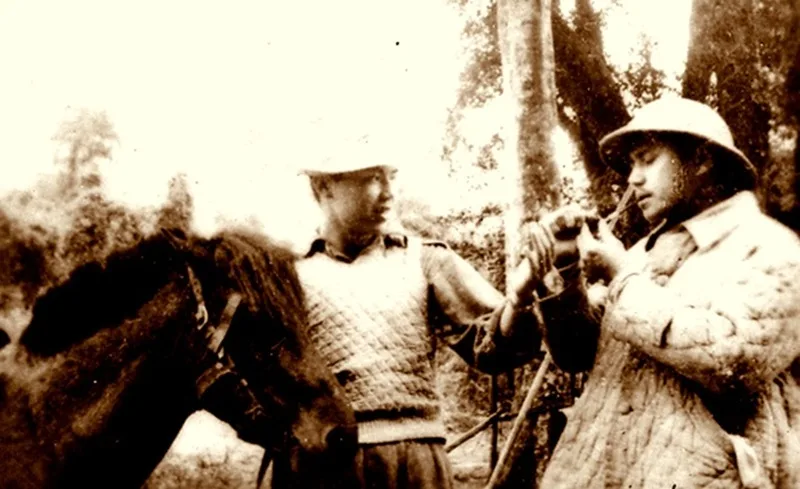 tac gia quang dung